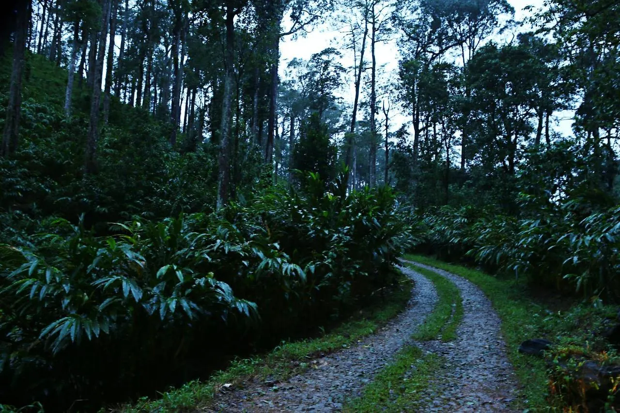 Dew Drops Farm Resorts Munnar Farm stay