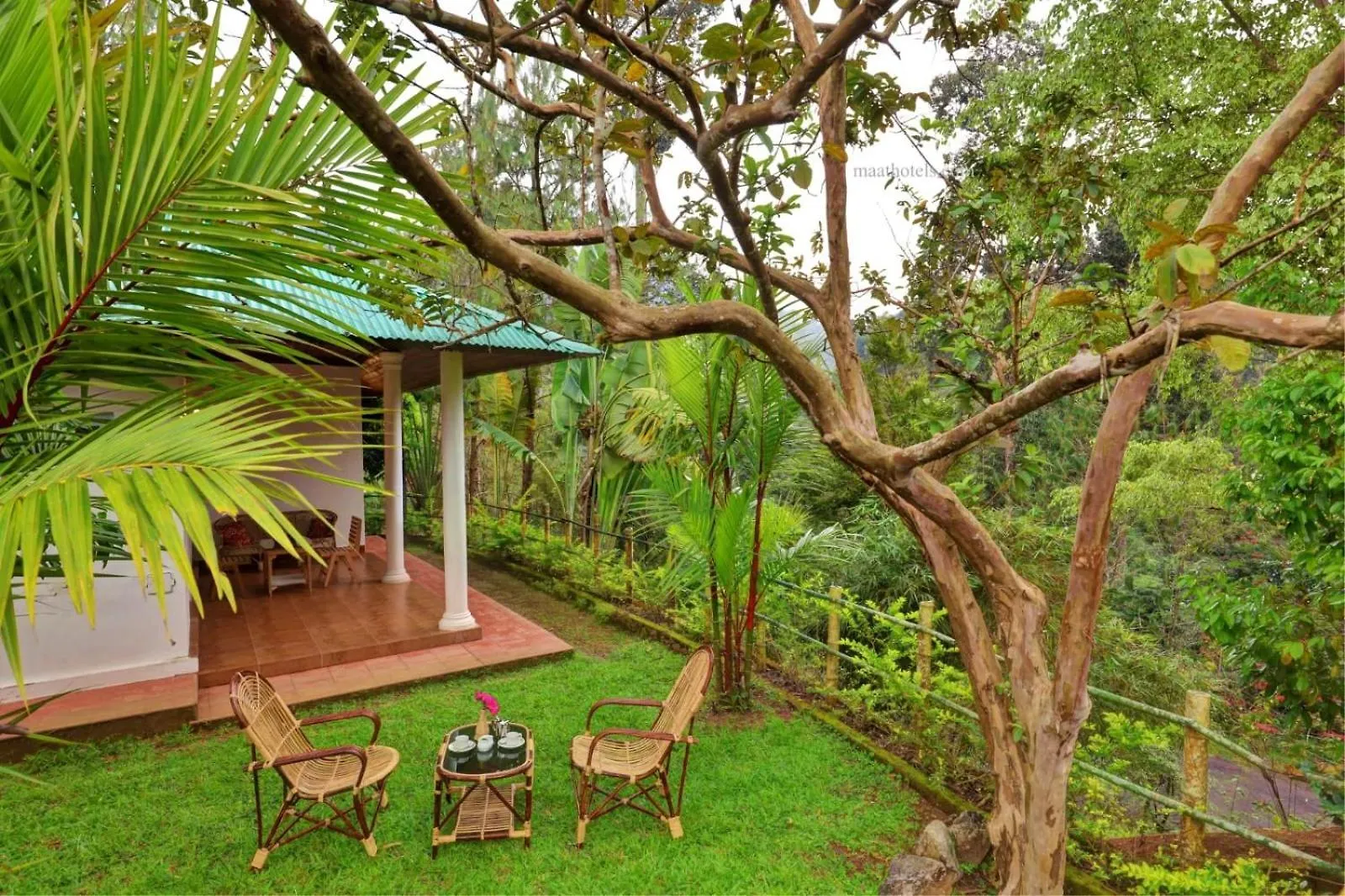 Farm stay Dew Drops Farm Resorts Munnar