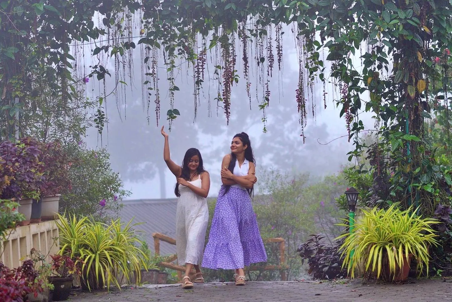 Dew Drops Farm Resorts Munnar Farm stay