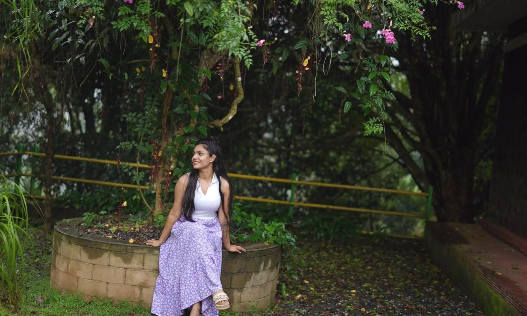 Dew Drops Farm Resorts Munnar India
