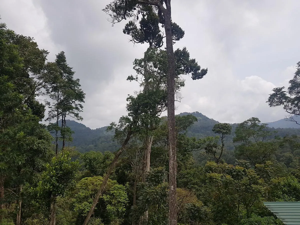 Dew Drops Farm Resorts Munnar Farm stay