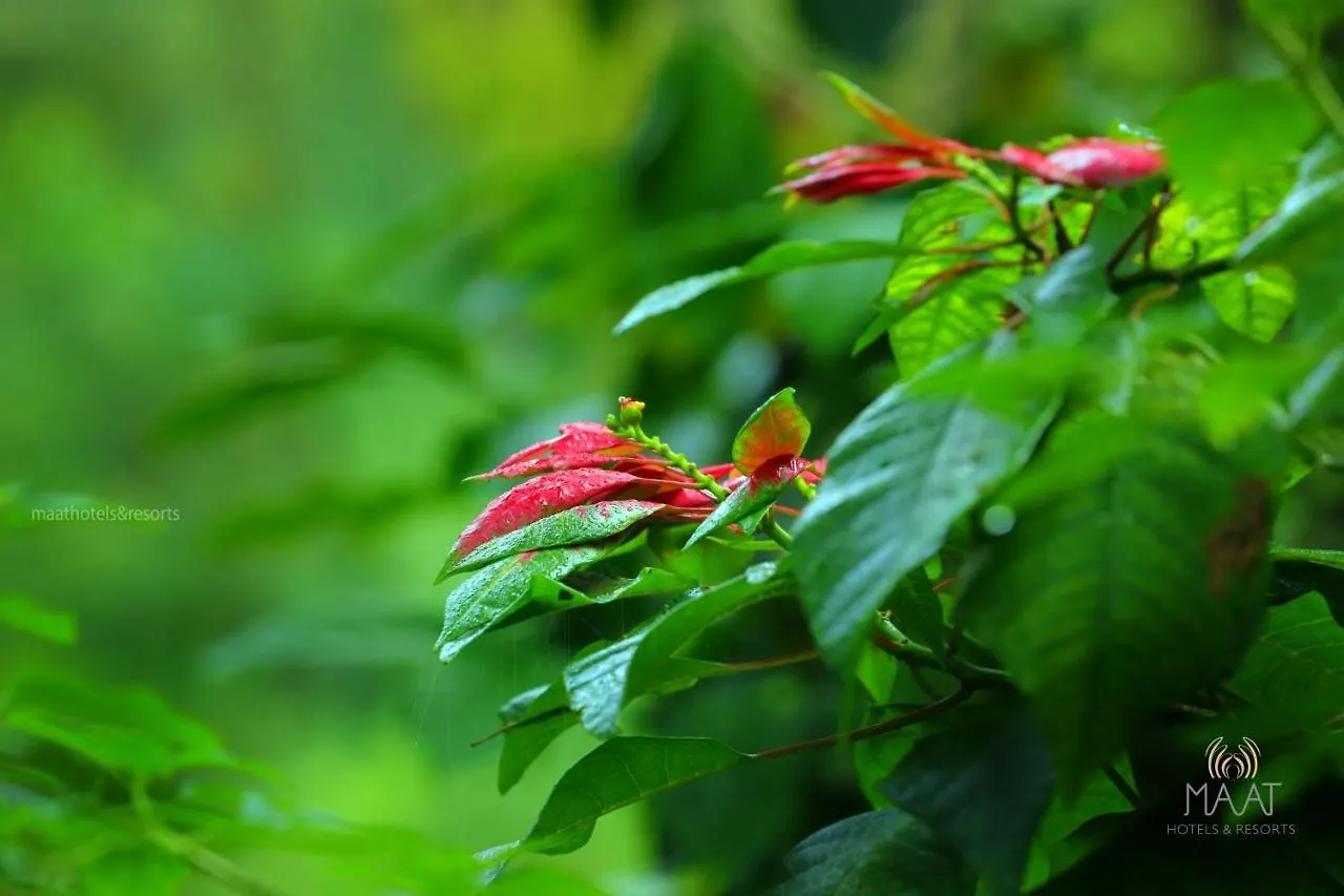 Dew Drops Farm Resorts Munnar 0*,  India